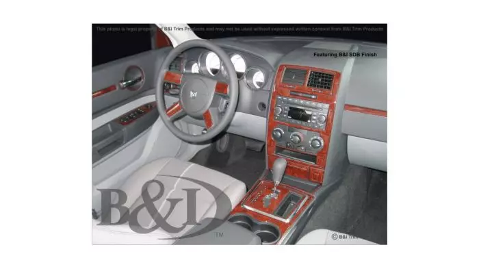 2010 dodge charger interior trim outlet kit